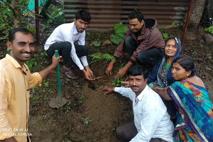 tree-plantation